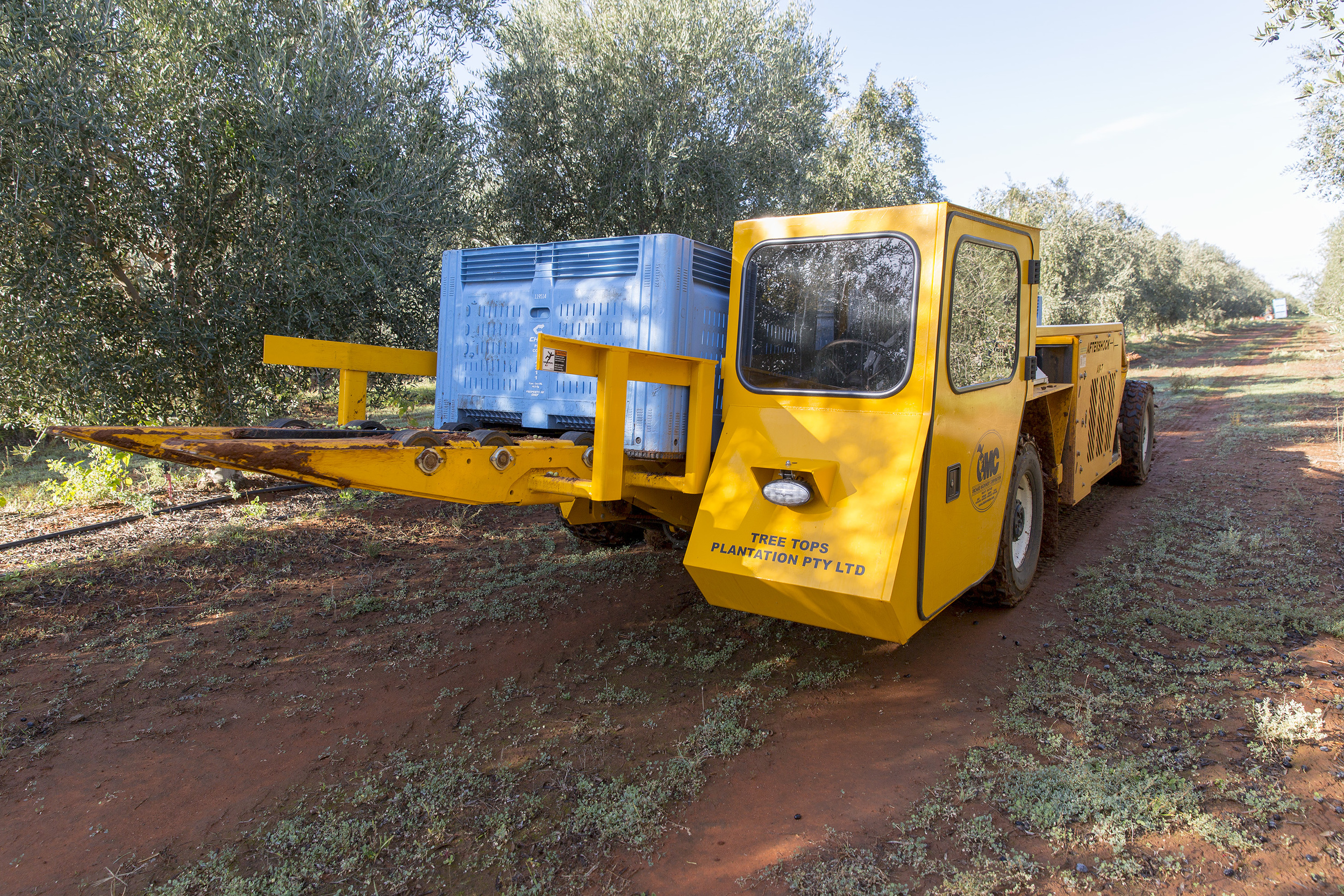 Tree Tops Olive Grove and Factory WEB 066.jpg