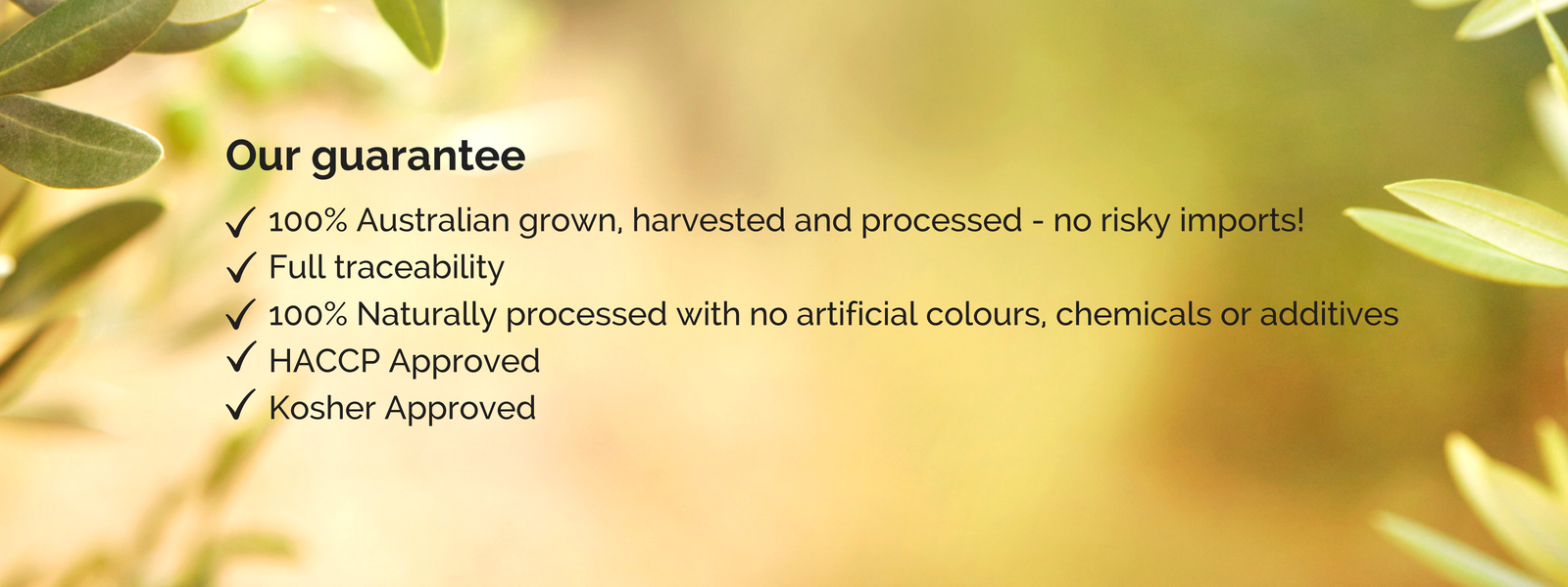 Our Guarantee of quality.jpg