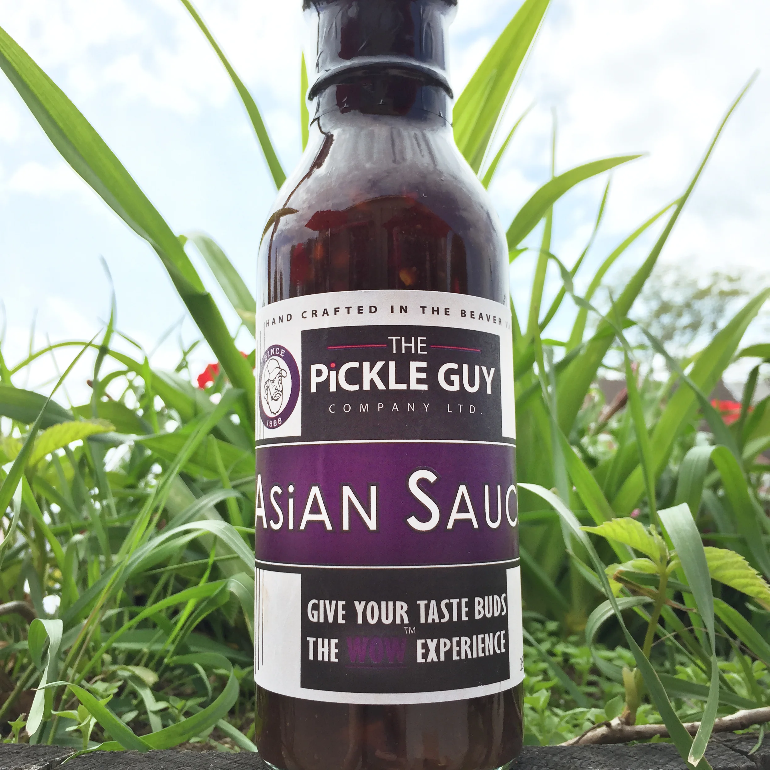 Asian Sauce | IN STOCK