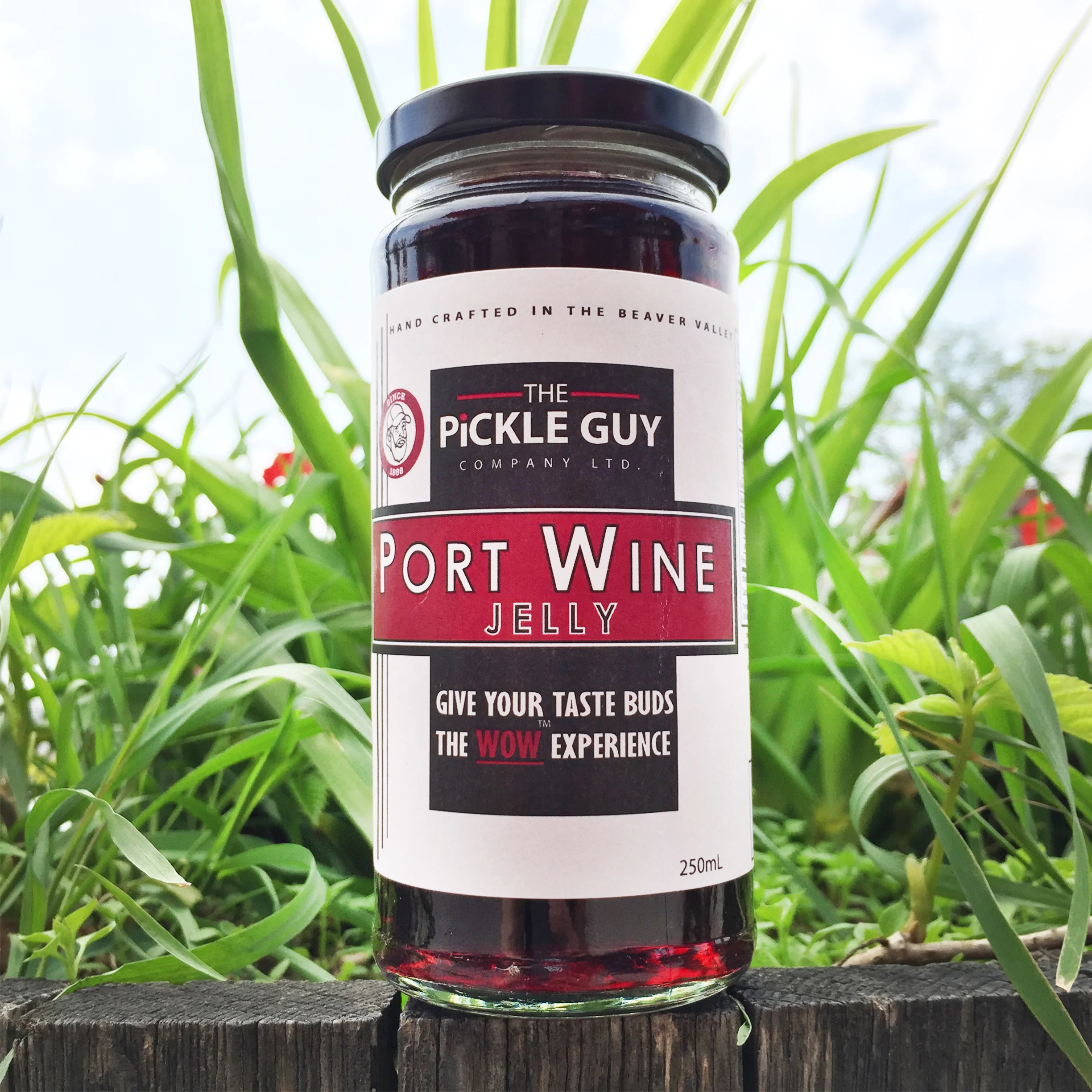Port Wine Jelly | IN STOCK