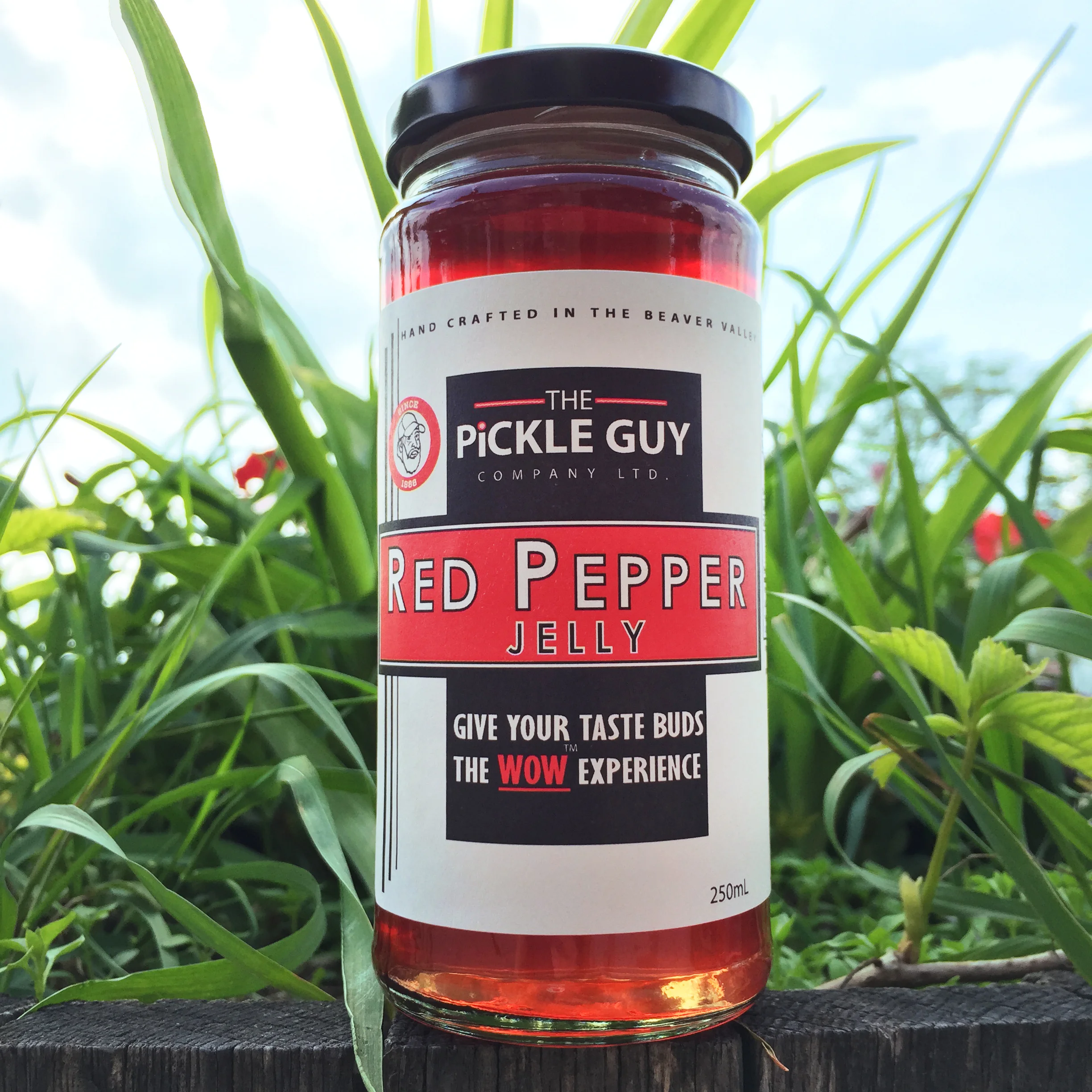 Red Pepper Jelly | IN STOCK