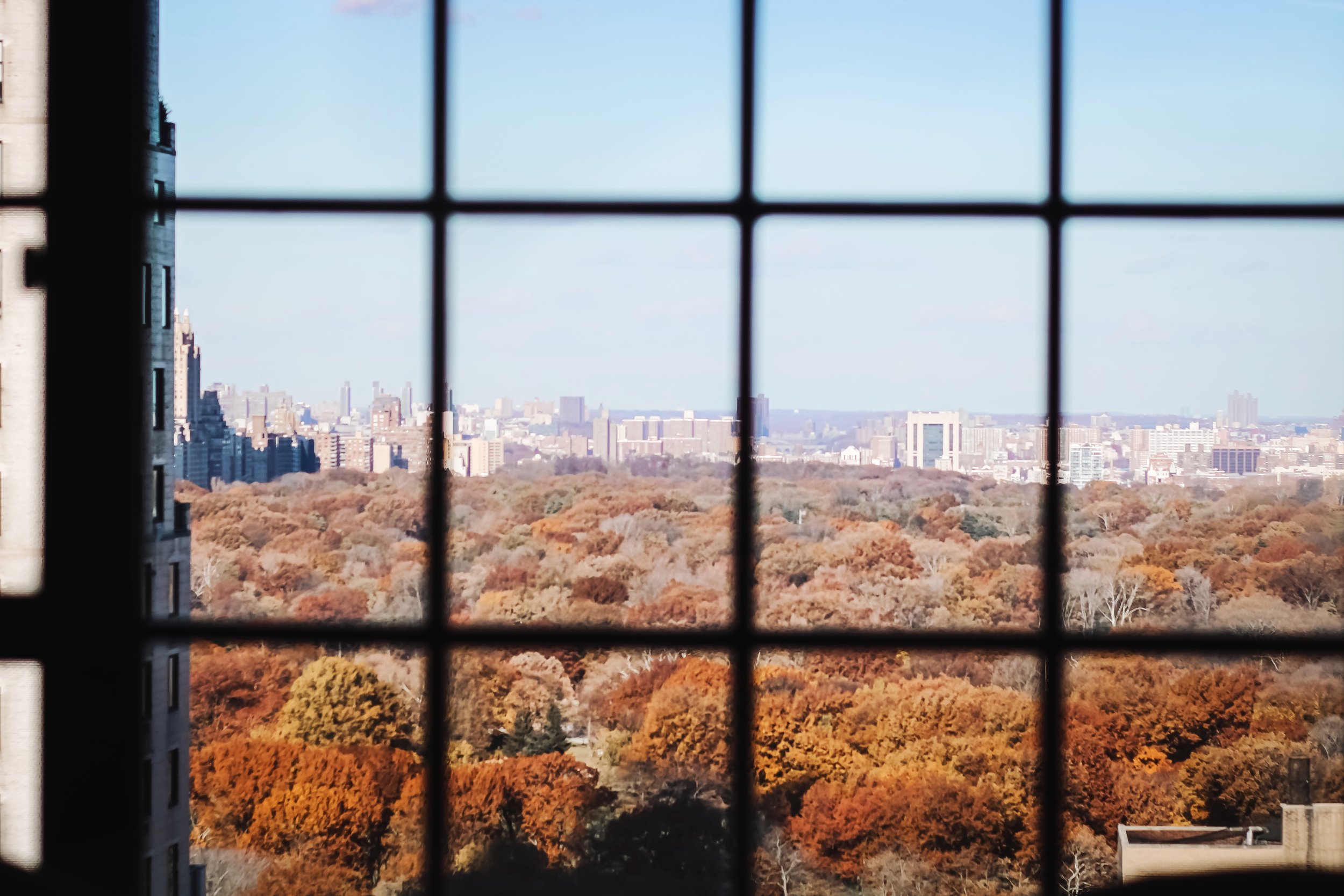 Viceroy-hotel-central-park-view