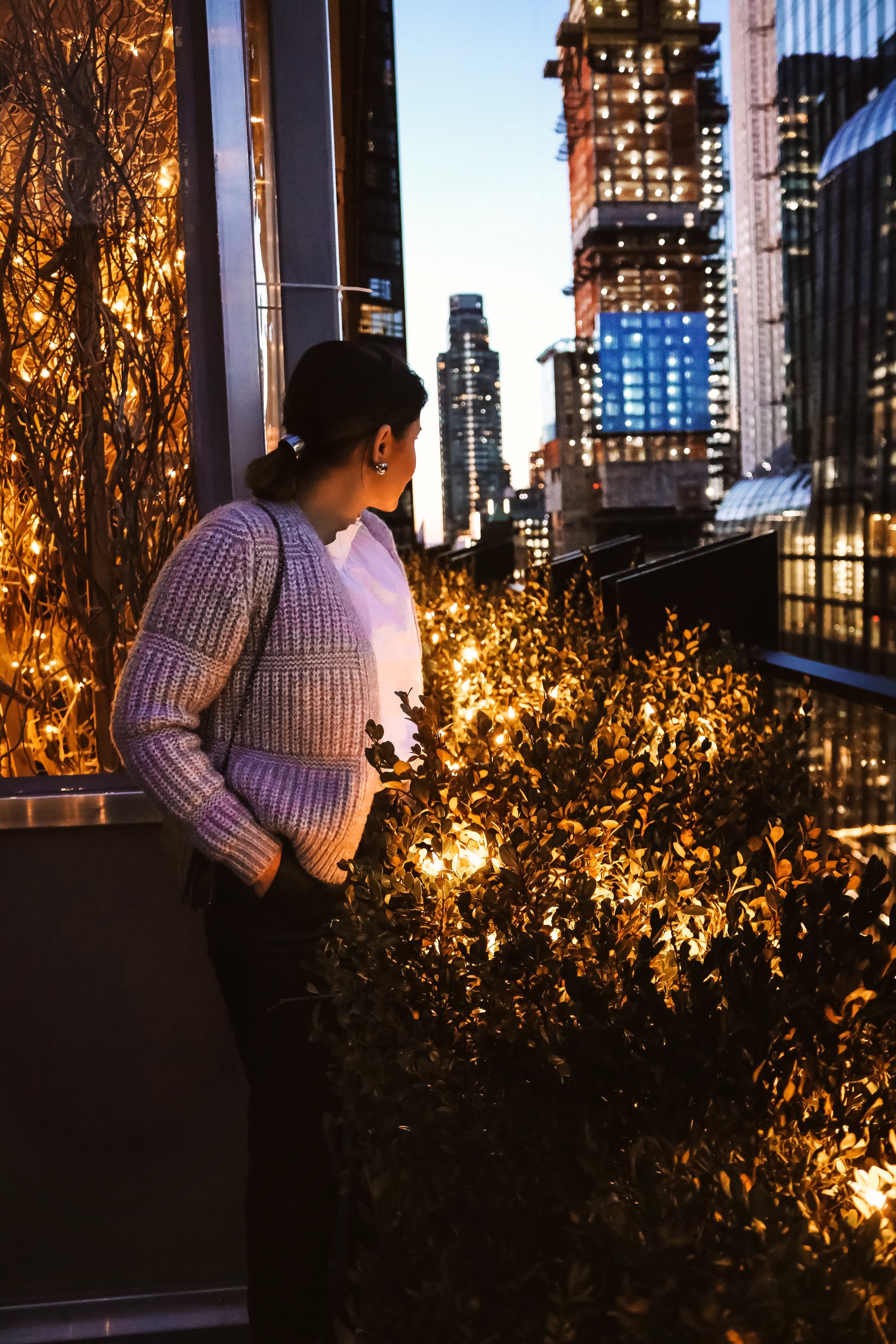 Rooftop-Viceroy3