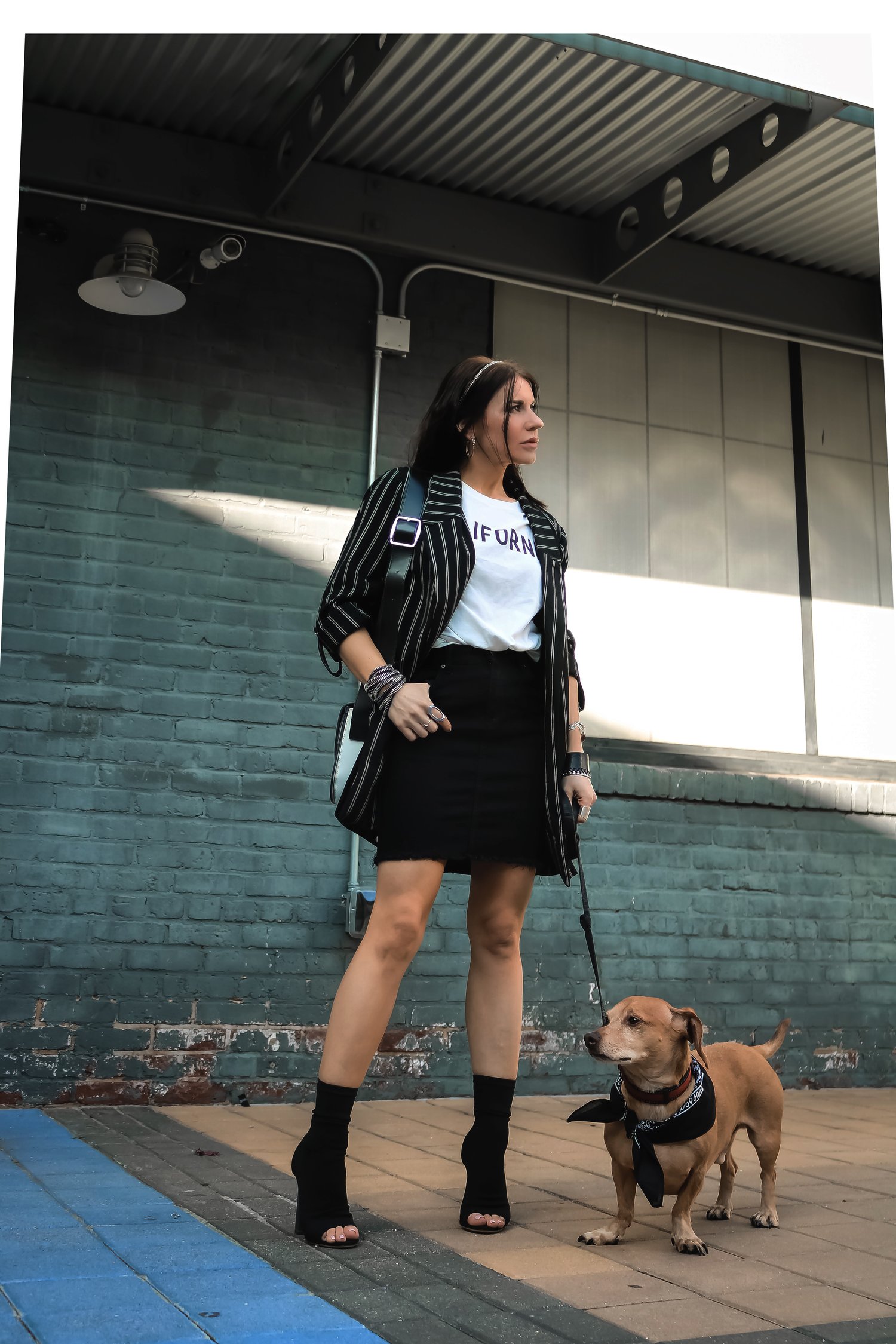 sabel Alexander Wearing Stradivarius Boyfriend Striped Blazer H&M Studded Denim Skirt With Her Daschund Dog