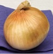 Yellow Onions