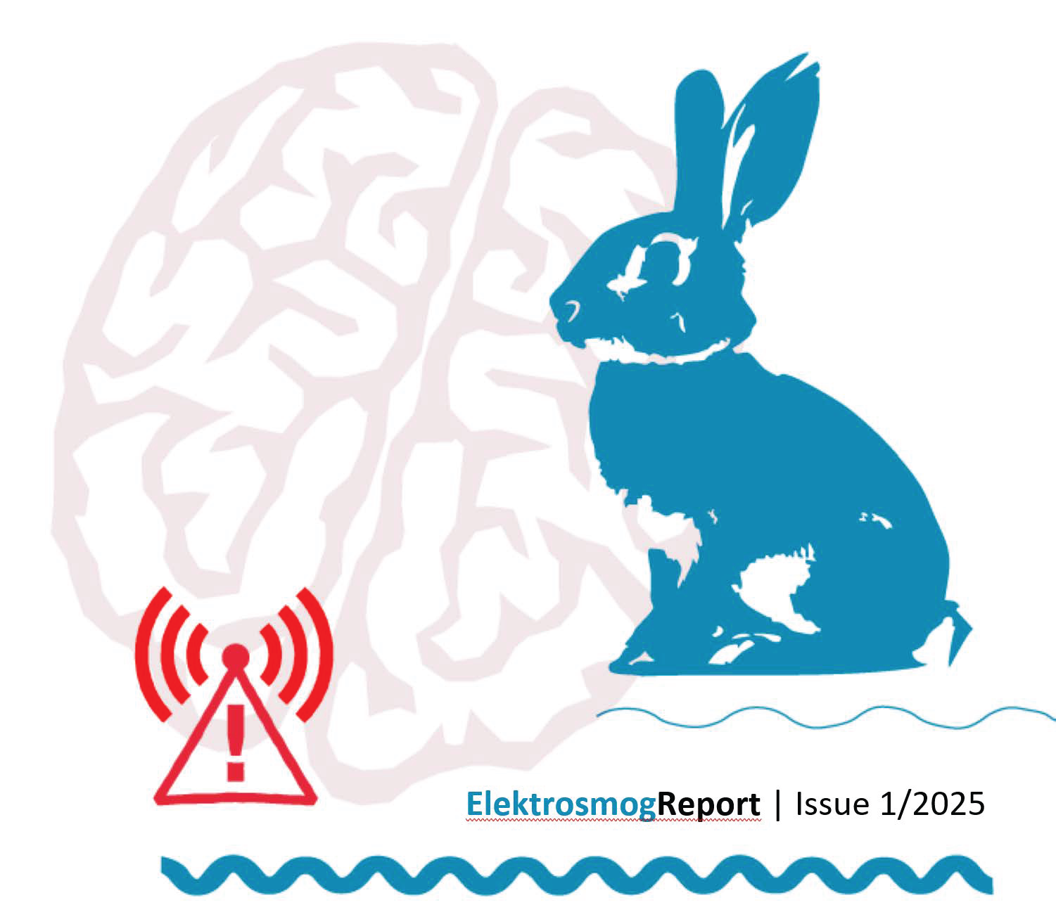 ElektrosmogReport 1/2025