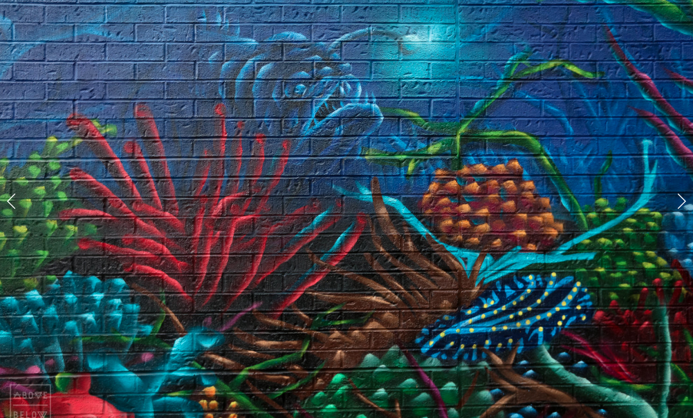 Mural by - Birdo and Gesto /Toronto, Ontario , Canada