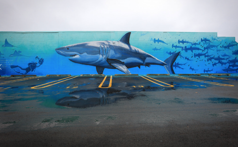 Mural by - Freedman White , New Zealand. 