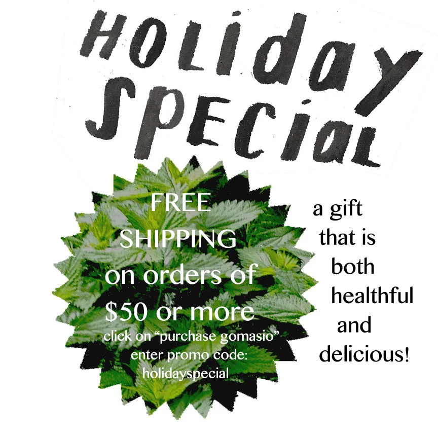 holiday starburst-.jpg