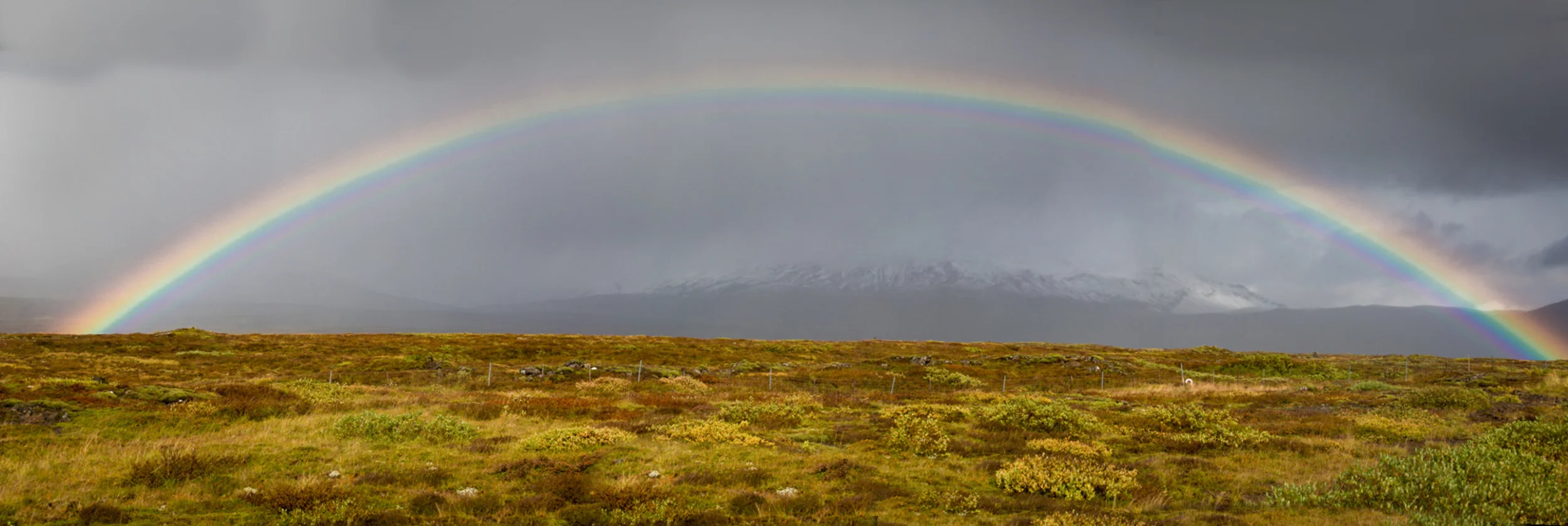 websiiteimages-2-4.jpg