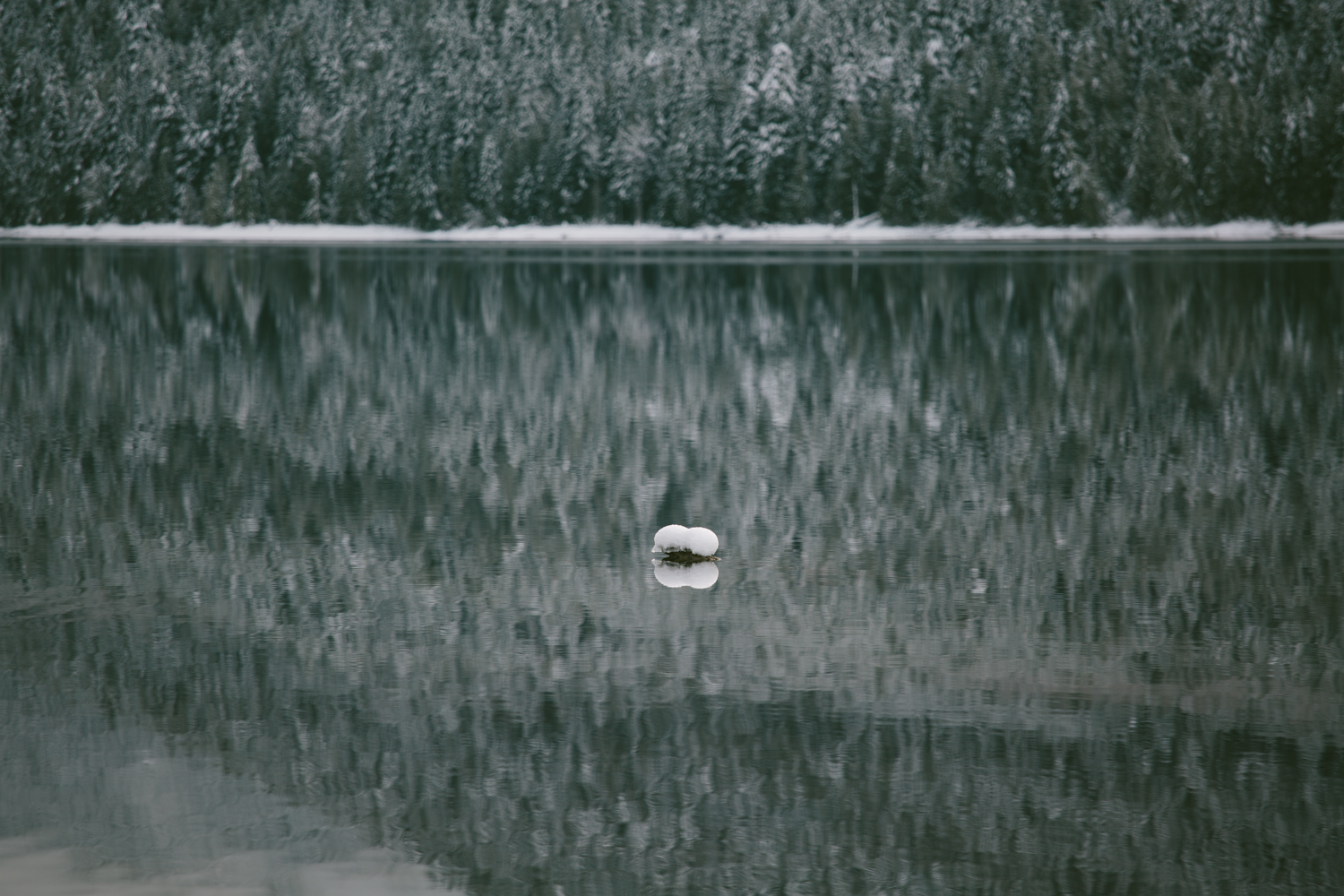 winter-7340.jpg
