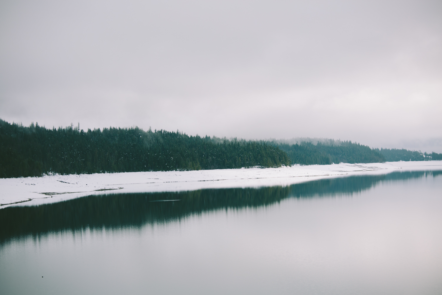 winter-7410.jpg