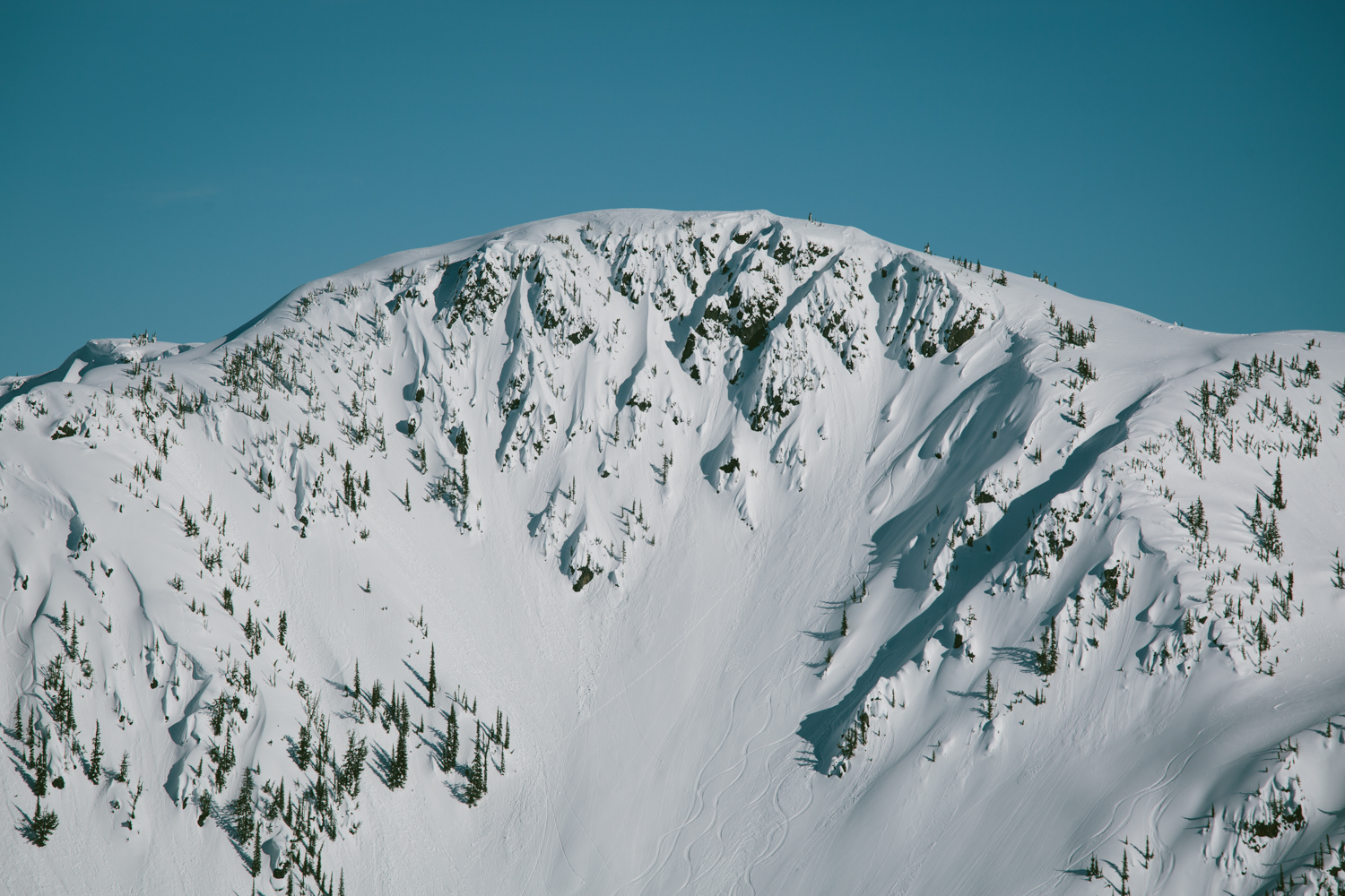 winter-9246.jpg