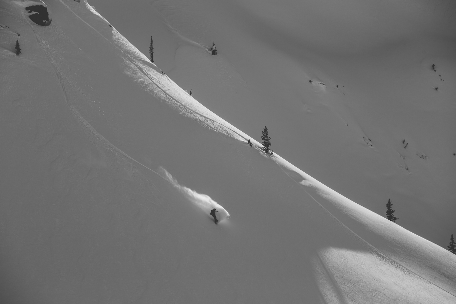 winter-9436.jpg