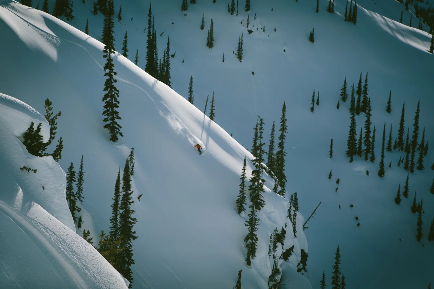 winter-9548.jpg