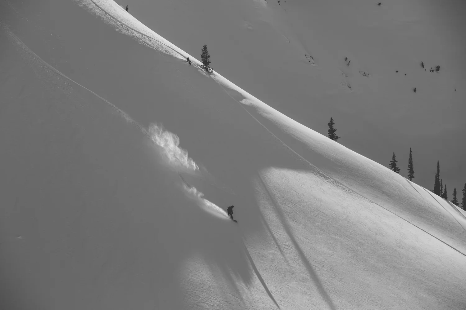 winter-9439.jpg