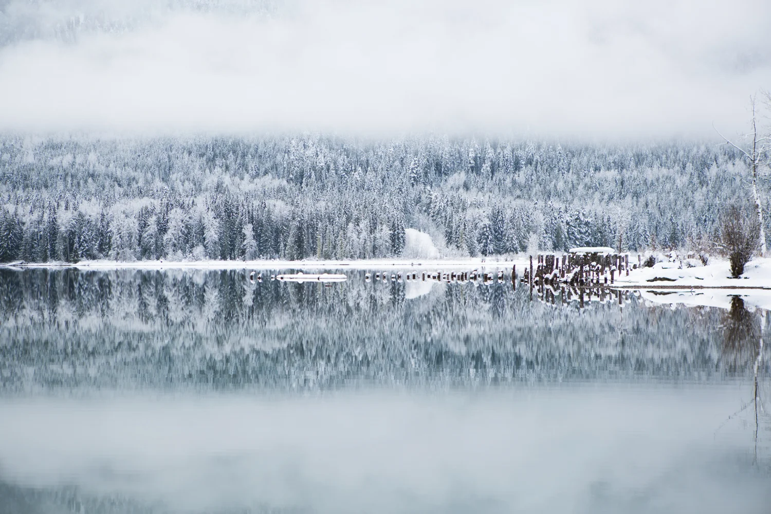 winter-7388.jpg