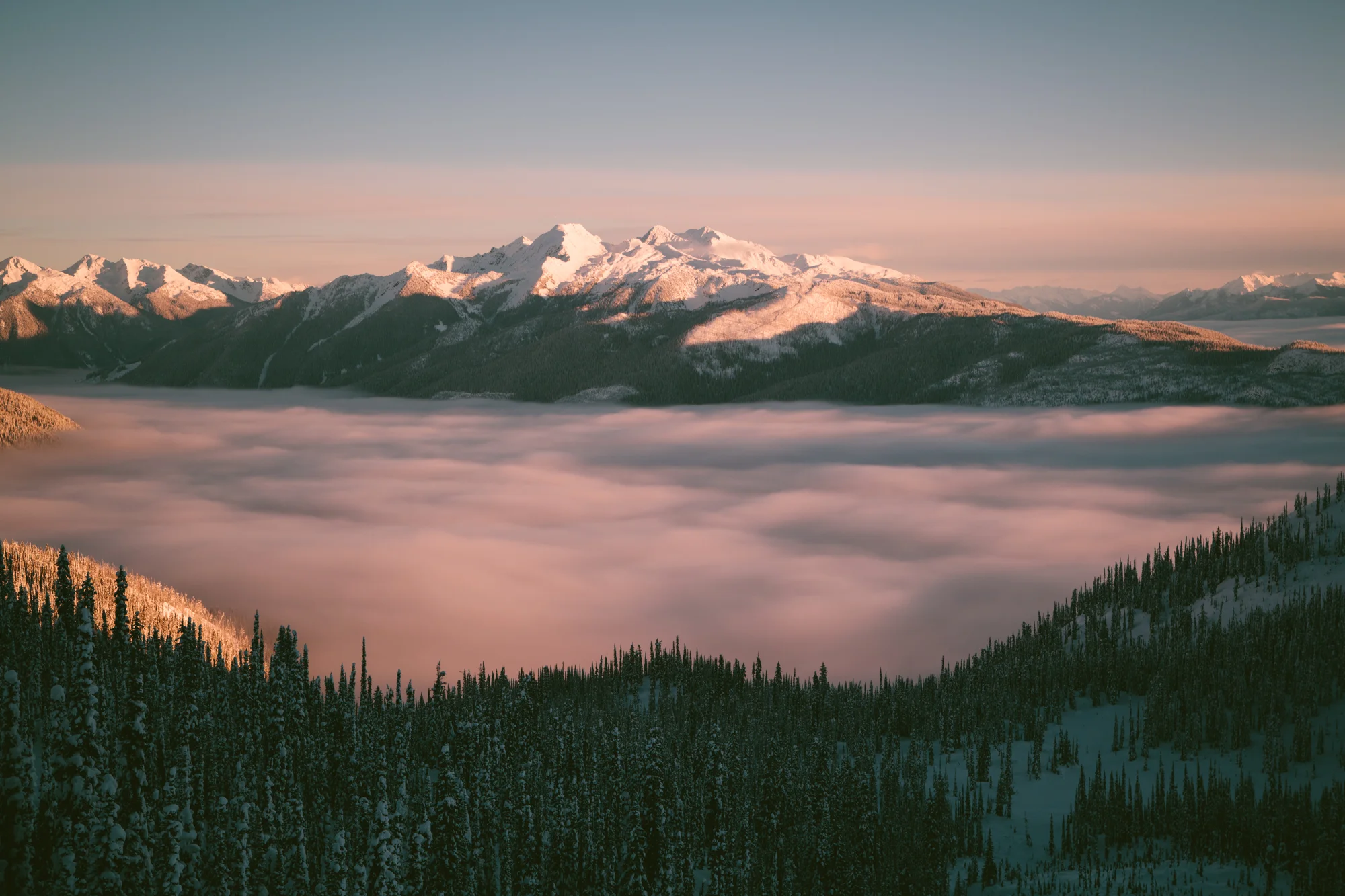 winter-6781.jpg