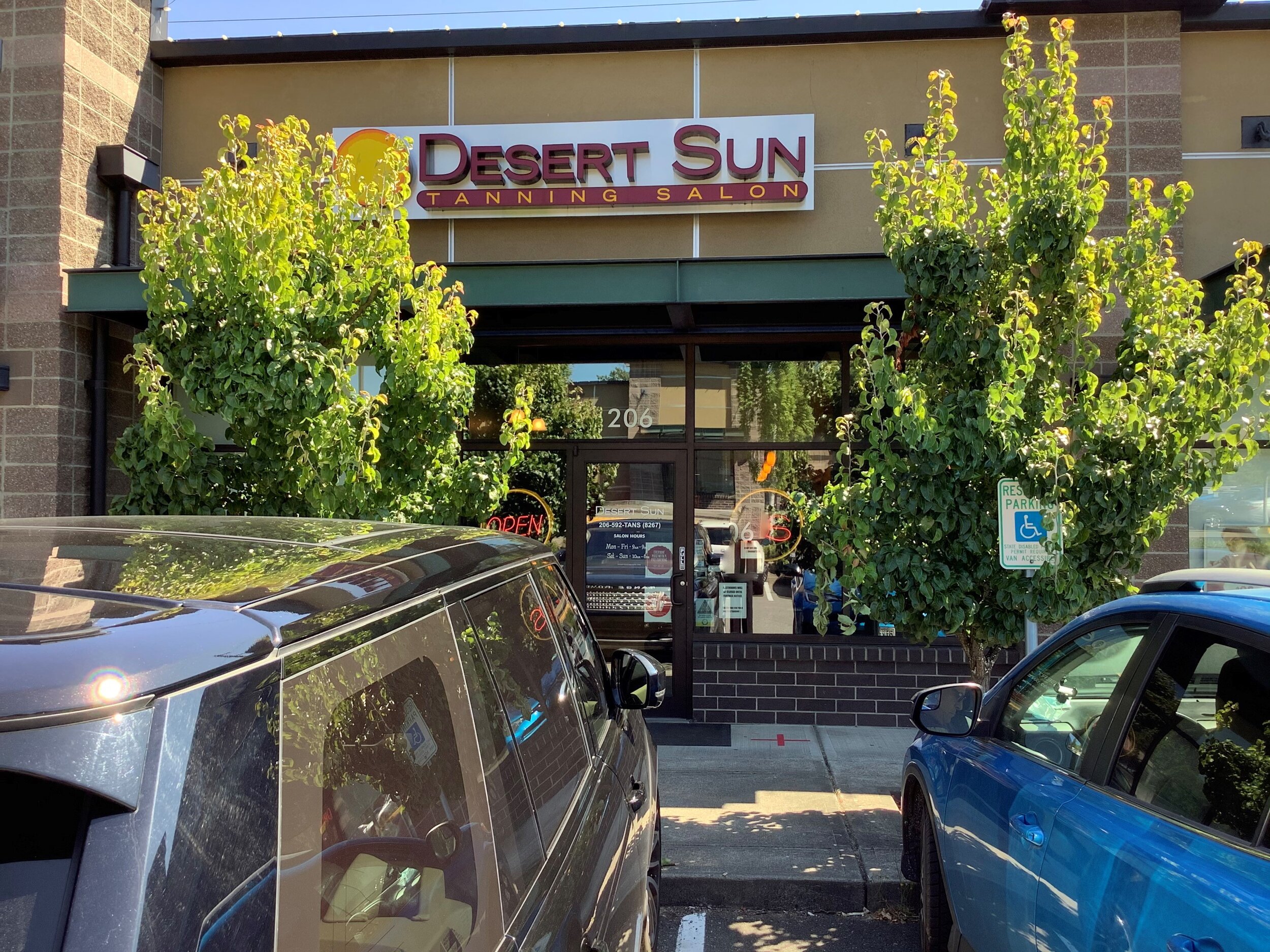 Desert Sun.jpg