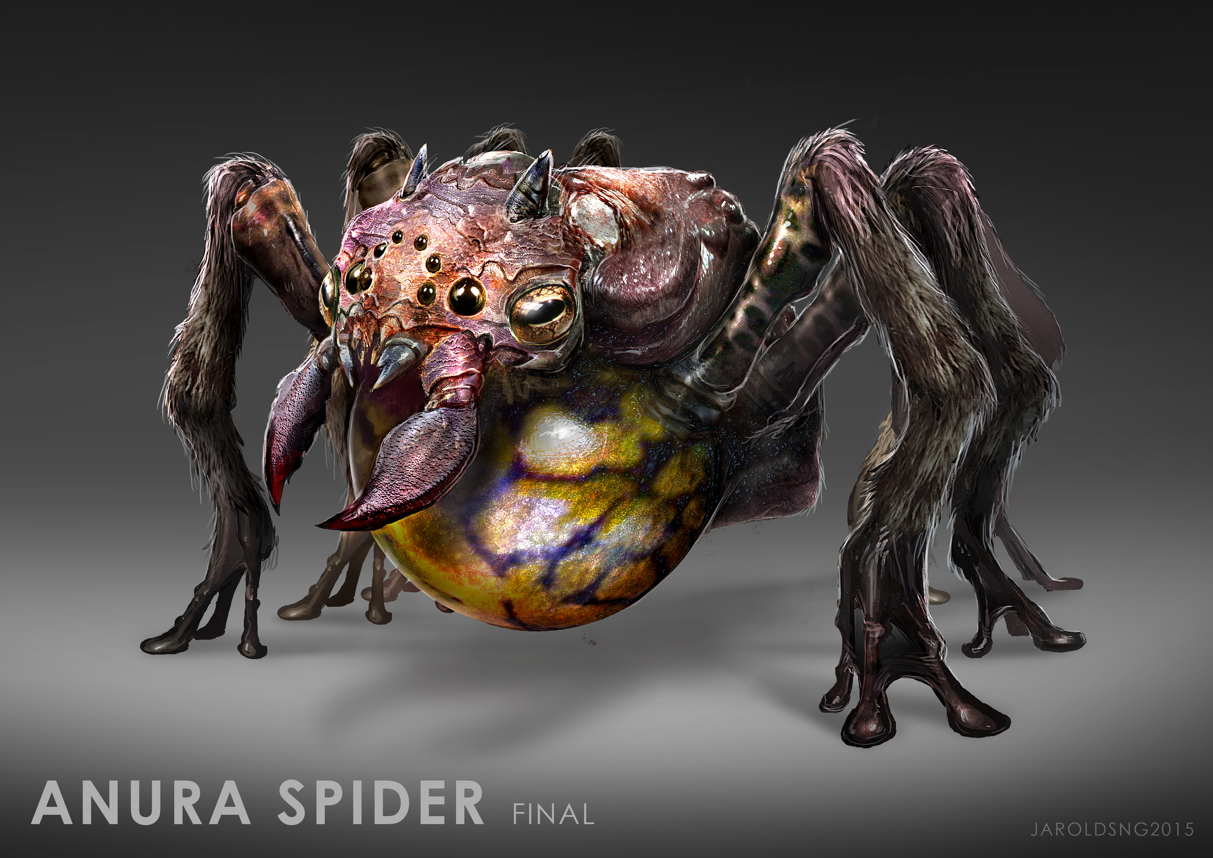 Anura Spider