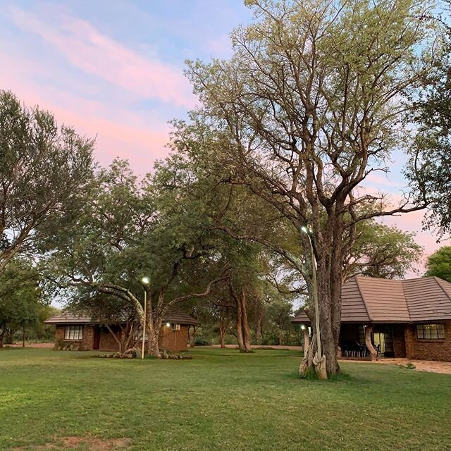 A new addition to Moriti Bush Camps - Seditse Safari Lodge.
For more info or to make a booking visit our website 
www.moriticamp.co.za