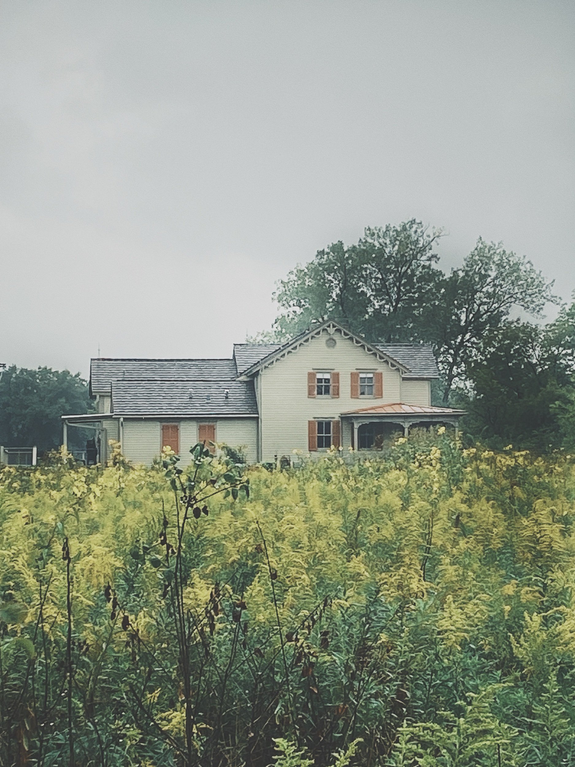 IMG_5682.jpeg