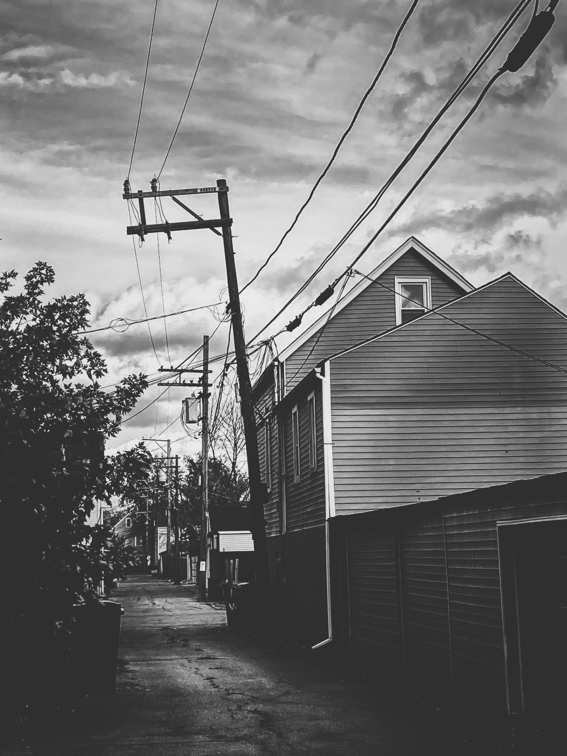 IMG_7603_VSCO.jpeg