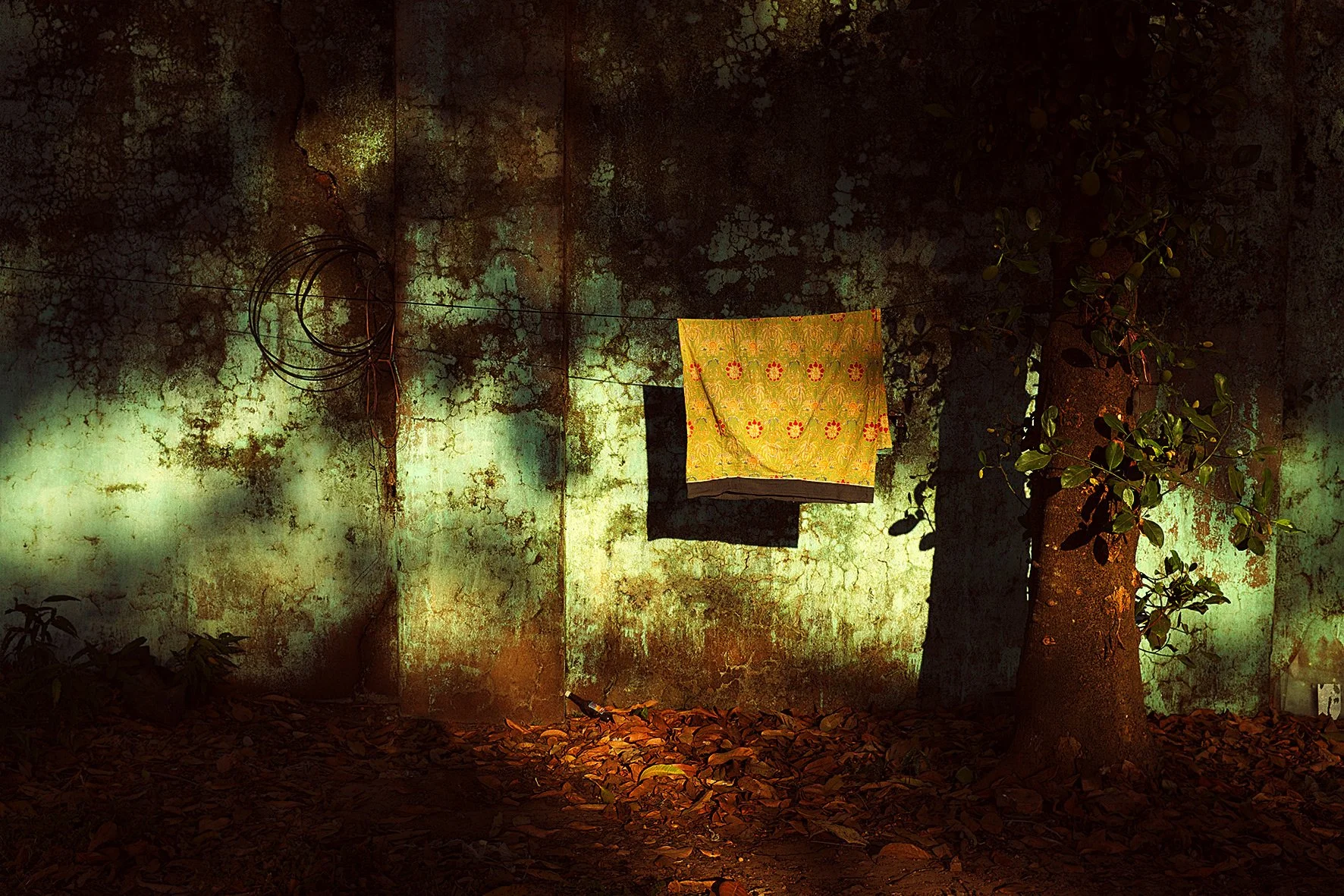 Une paroi en béton vertâtre avec une tache d'humidité, une branche d'arbre, un linge jaune avec un motif floral suspendu, et des feuilles tombées sur le sol, le tout dans une ambiance sombre et mystérieuse.