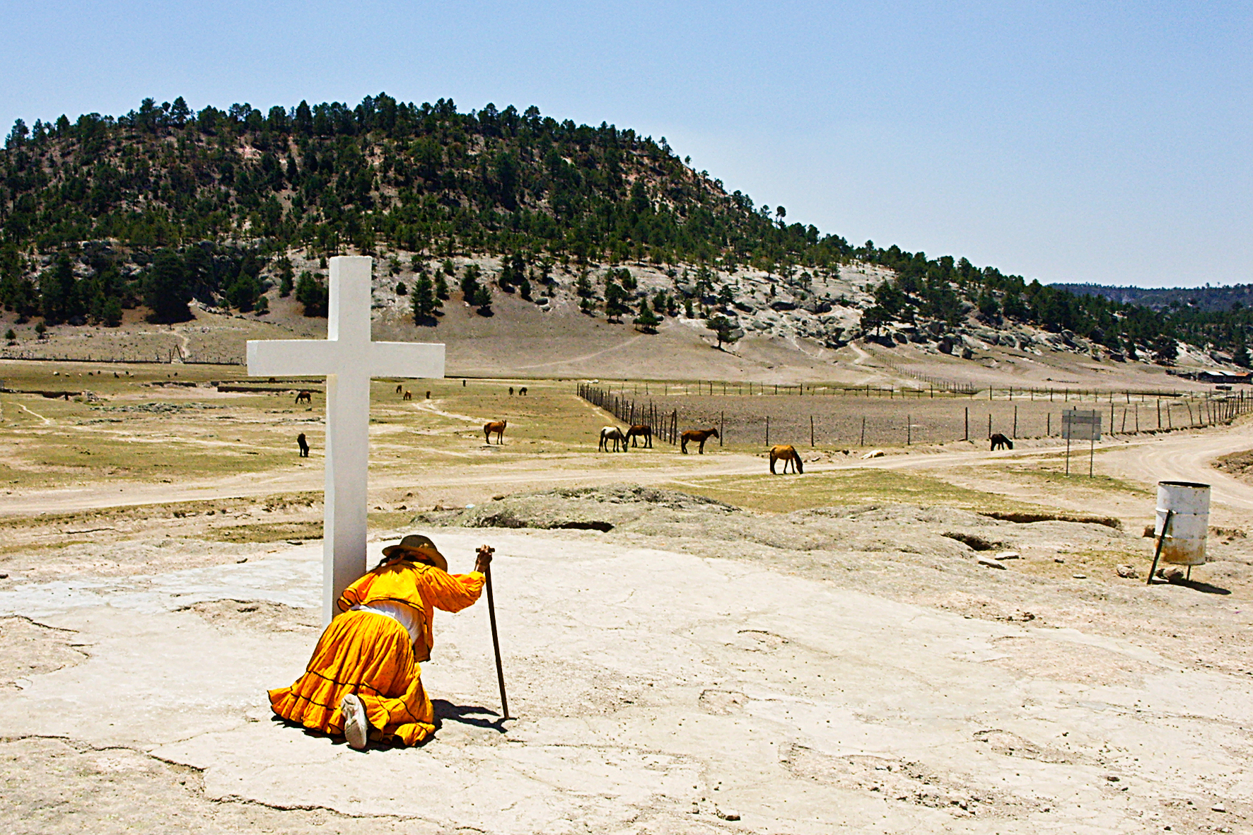 Amériques 14. Mexique, Lago Arareko. 2008