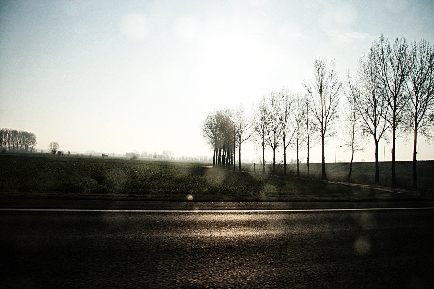 Une route en premier plan avec des arbres sans feuilles sur le côté droit, un champ vert, et un ciel clair avec un soleil brillant à l'horizon.