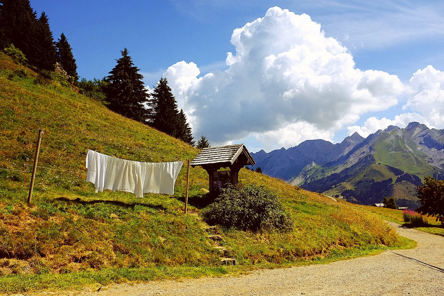 Paysage de montagne avec des nuages, une pente herbeuse avec des arbres, une corde à linge avec du linge blanc suspendu, et un petit abri en bois