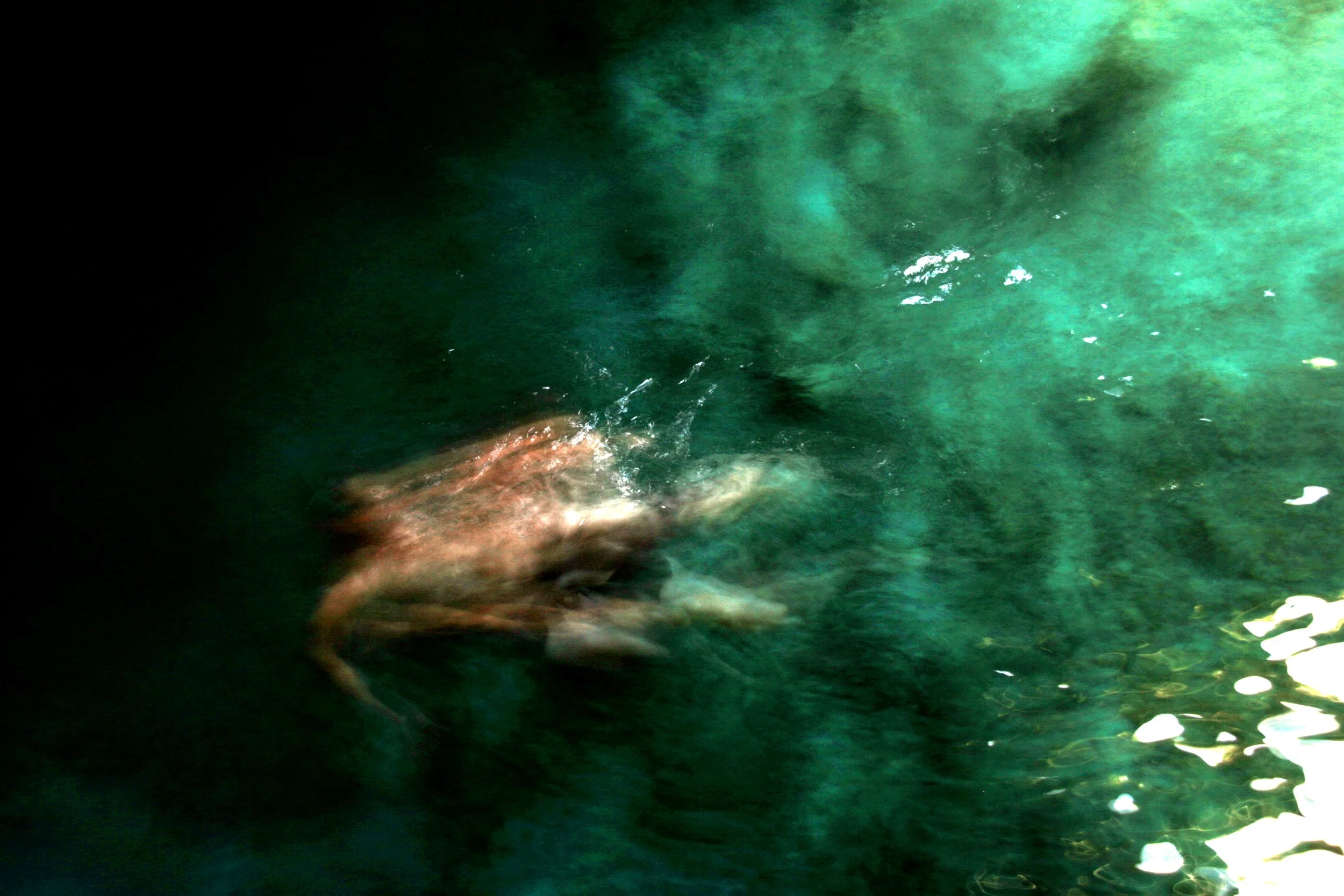 Une personne nage dans une eau verte, avec un mouvement de bras visible.