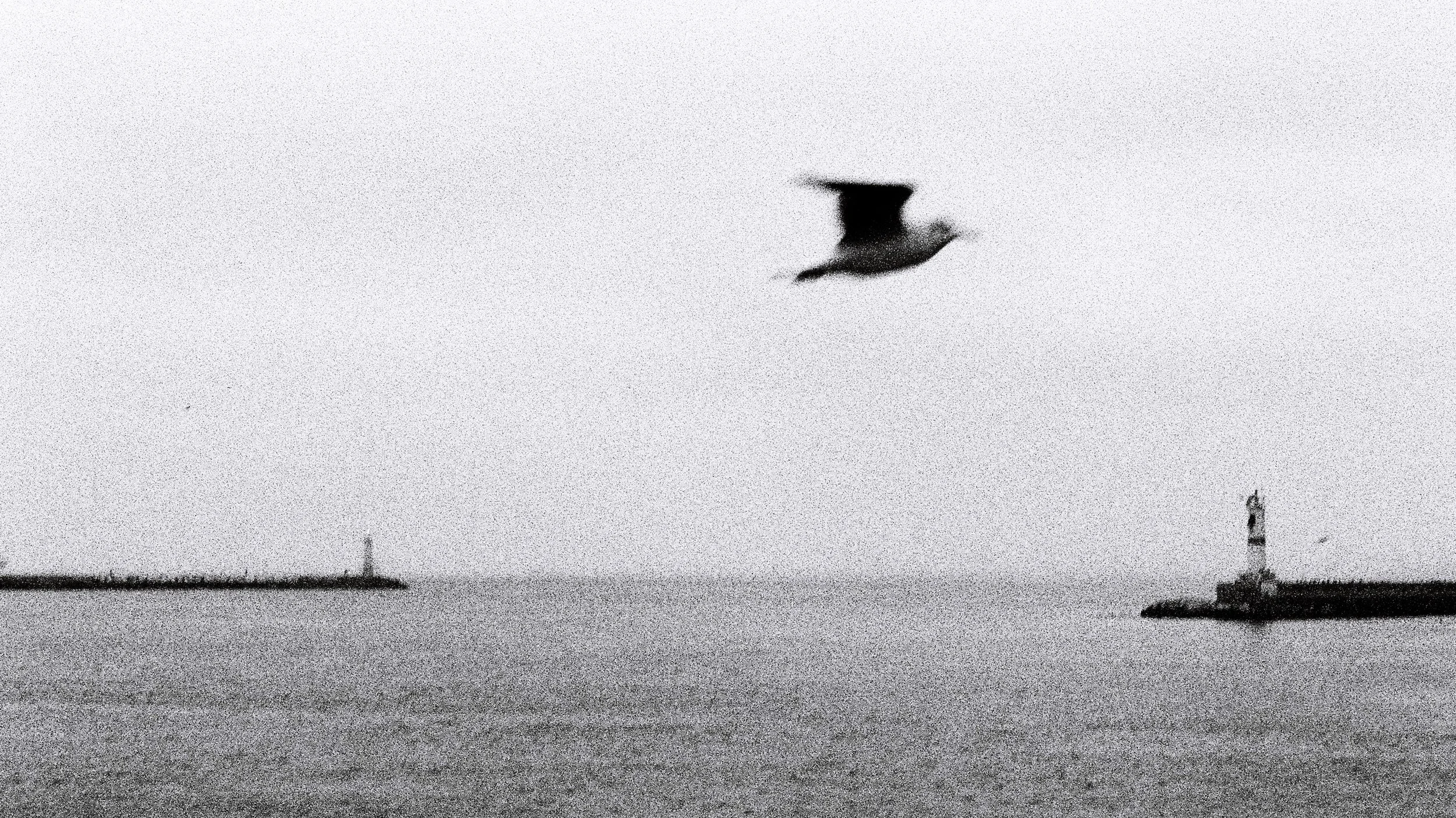 Une photo en noir et blanc montrant une mer avec deux phares, un au loin à gauche et un autre à droite. Un oiseau vole dans le ciel au centre de l'image.