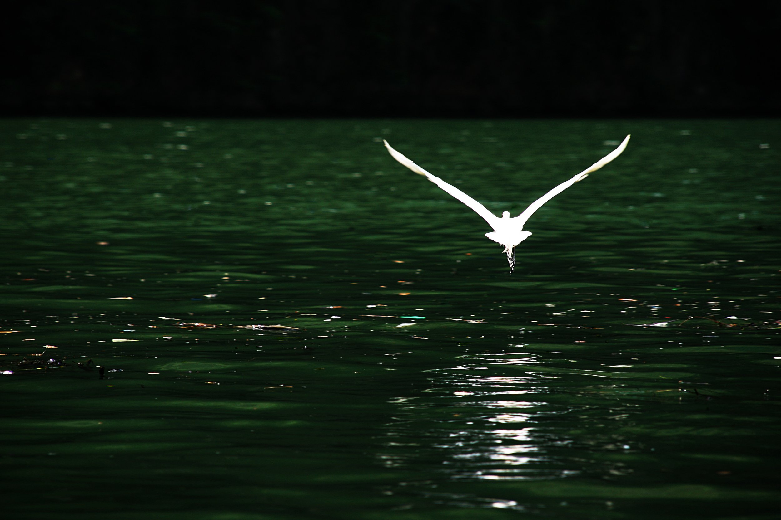 Amériques - Mexique