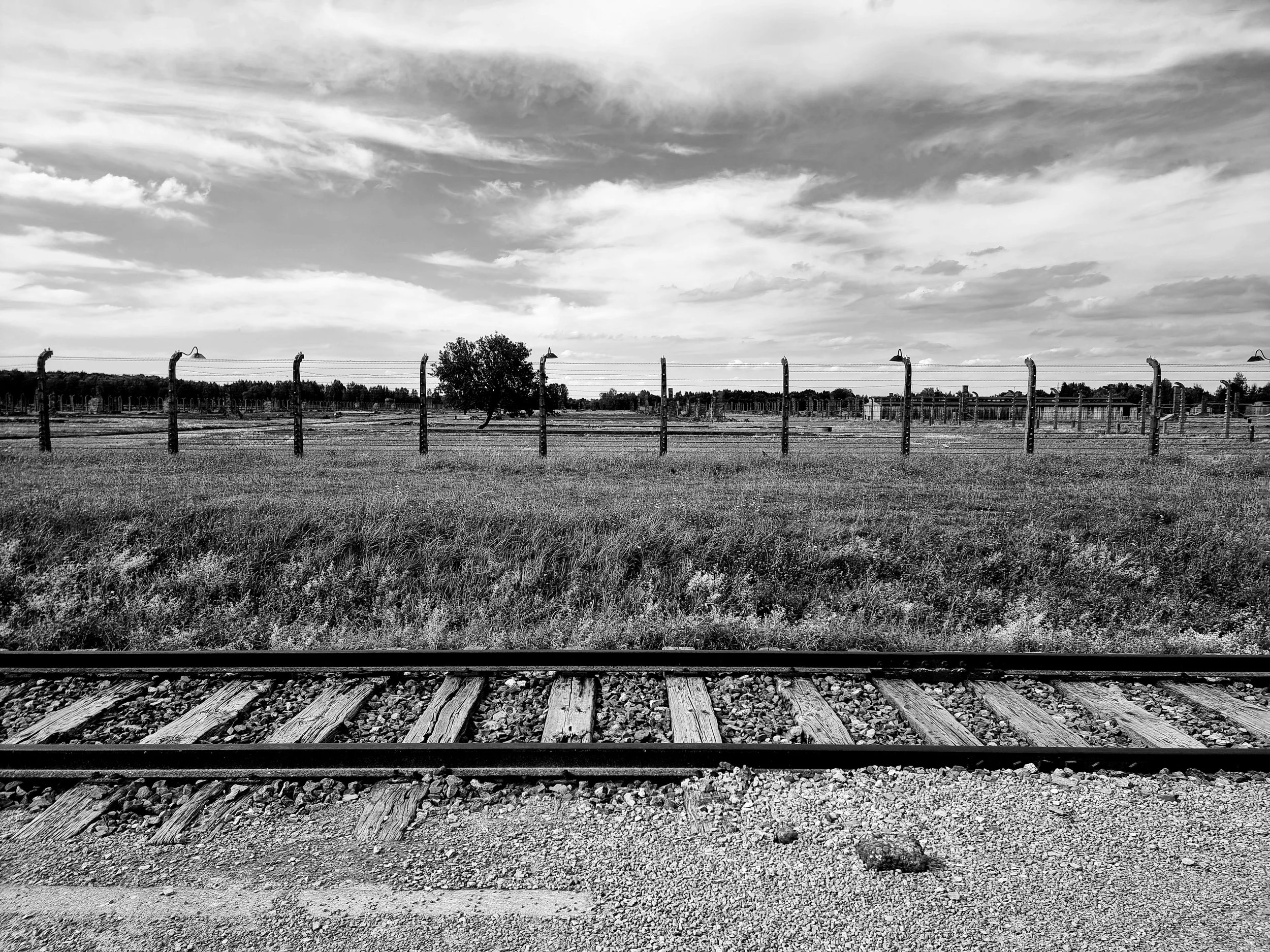 Photo en noir et blanc d'une voie ferrée au premier plan, une clôture de barbelés et un arbre isolé dans un champ au milieu de l'image, avec des nuages dispersés dans le ciel.