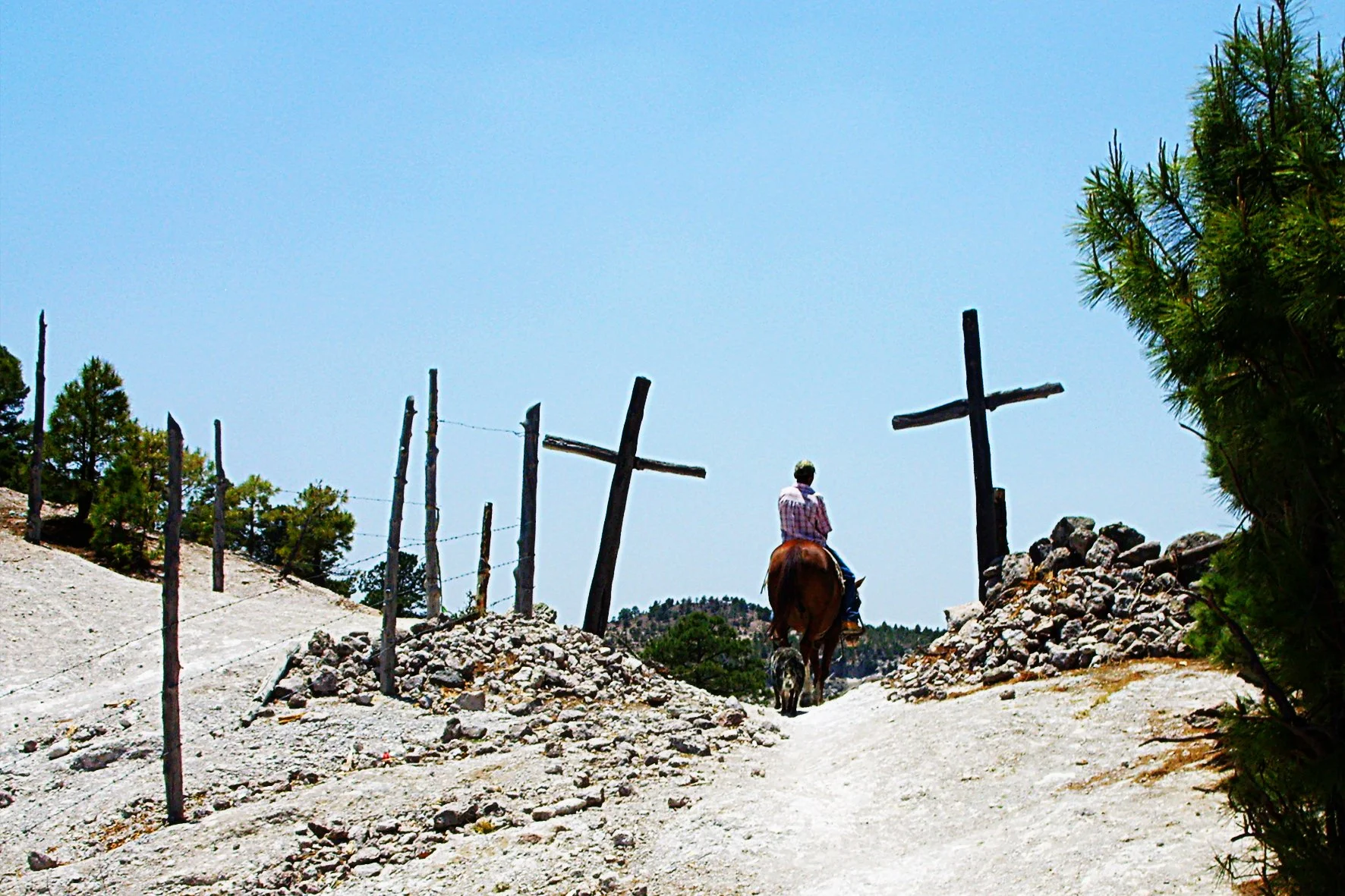Chemin de terre avec des croix en bois, un cavalier à cheval, et un chien, dans un paysage en plein air avec des arbres et un ciel bleu clair.