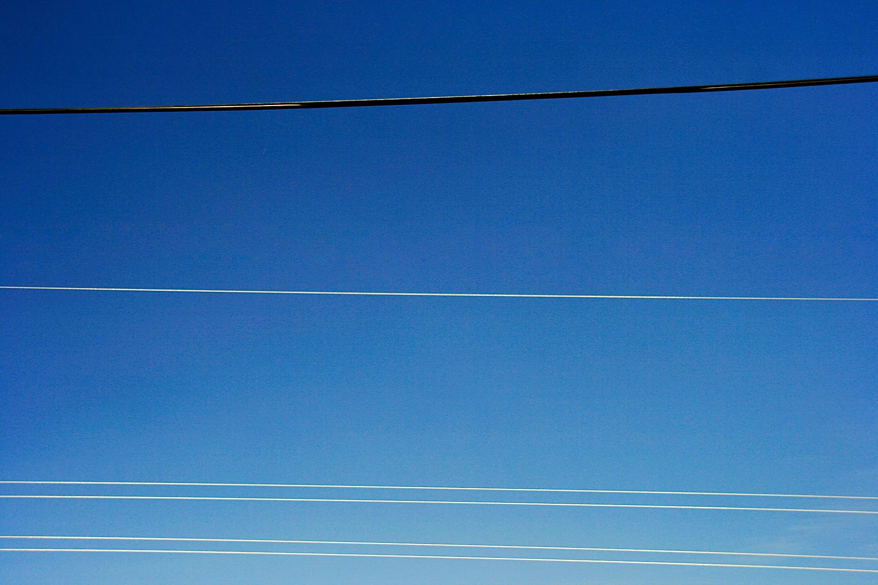 Ciel bleu avec plusieurs câbles électriques horizontaux