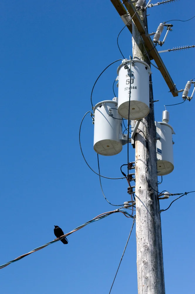 STREETS AND SURROUNDINGS (14).jpg