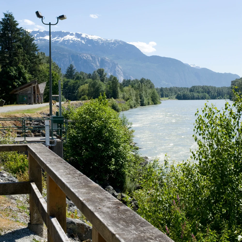 STREETS AND SURROUNDINGS (4).jpg