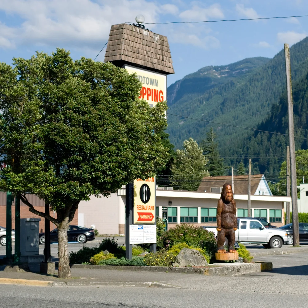 STREETS AND SURROUNDINGS (25).jpg