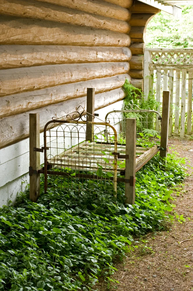 STREETS AND SURROUNDINGS (29).jpg