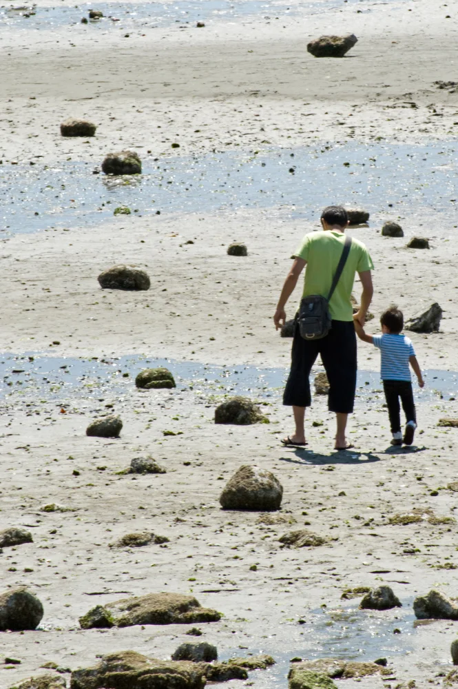 STREETS AND SURROUNDINGS (33).jpg