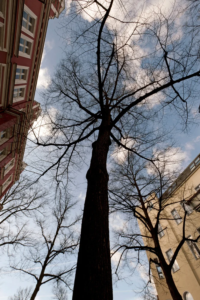 STREETS AND SURROUNDINGS (35).jpg