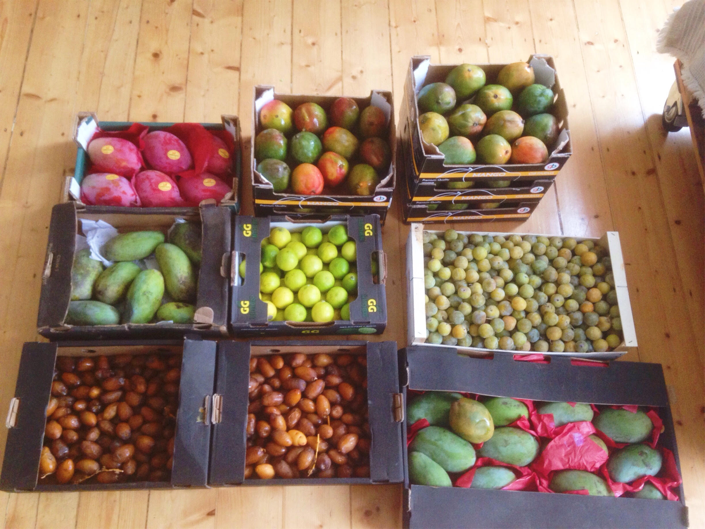 fruit_haul .jpg