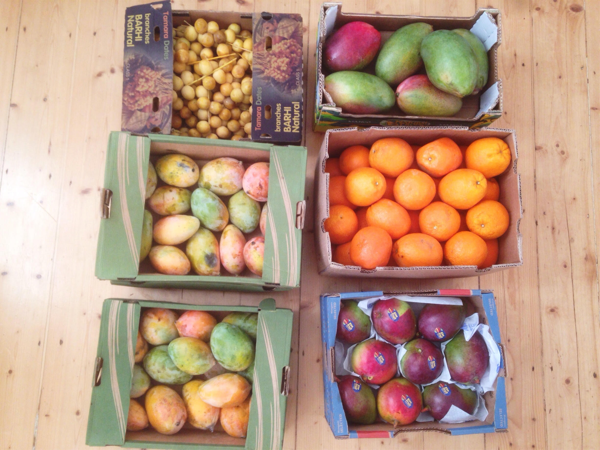 mango_fruit_haul.jpg