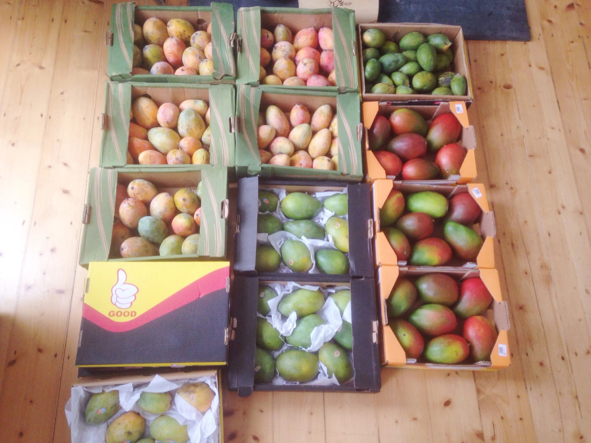 Mango_island.jpg