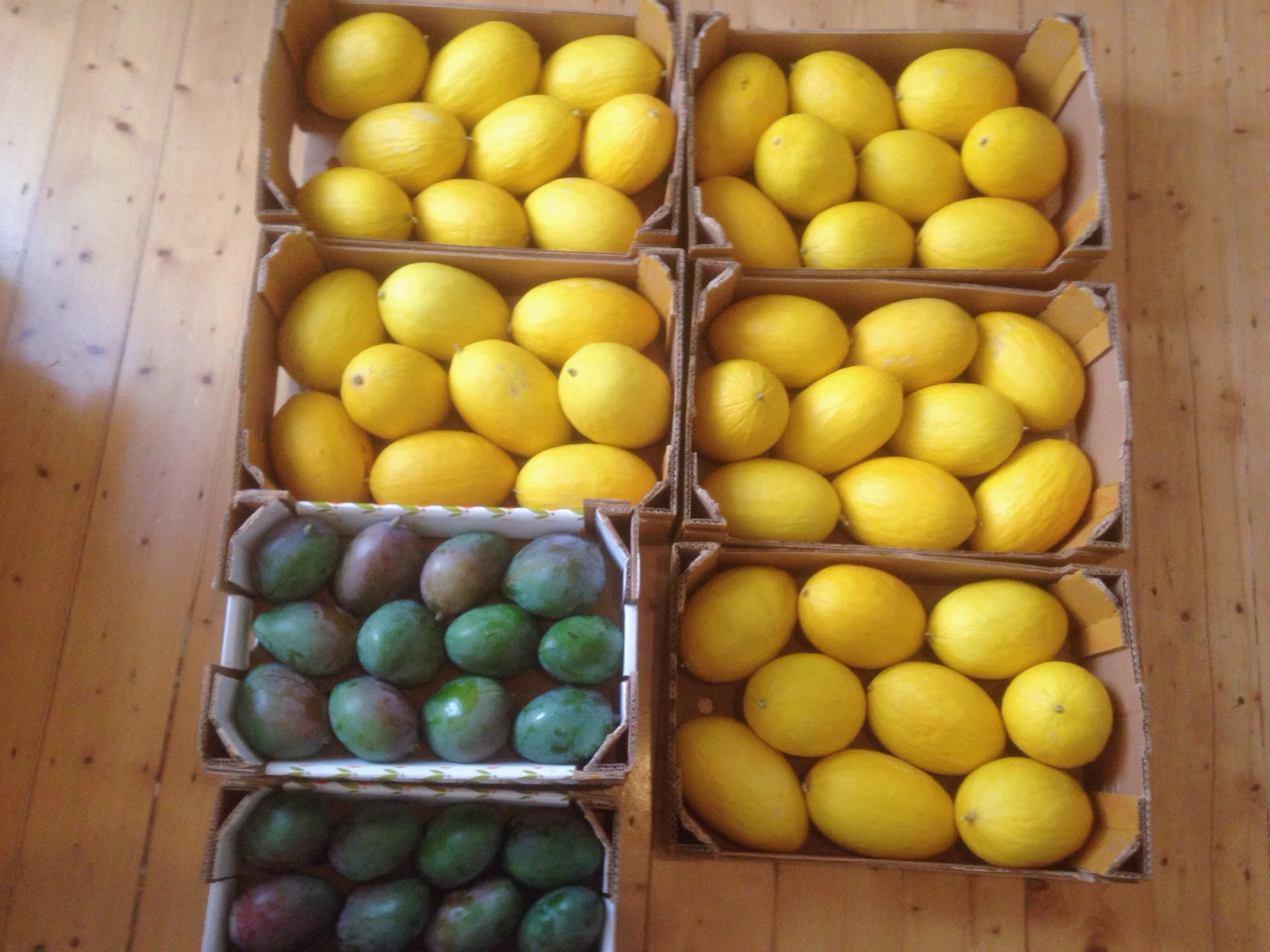 Mango_melon.jpg