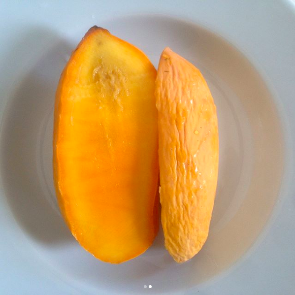ataulfo_mango_1.png