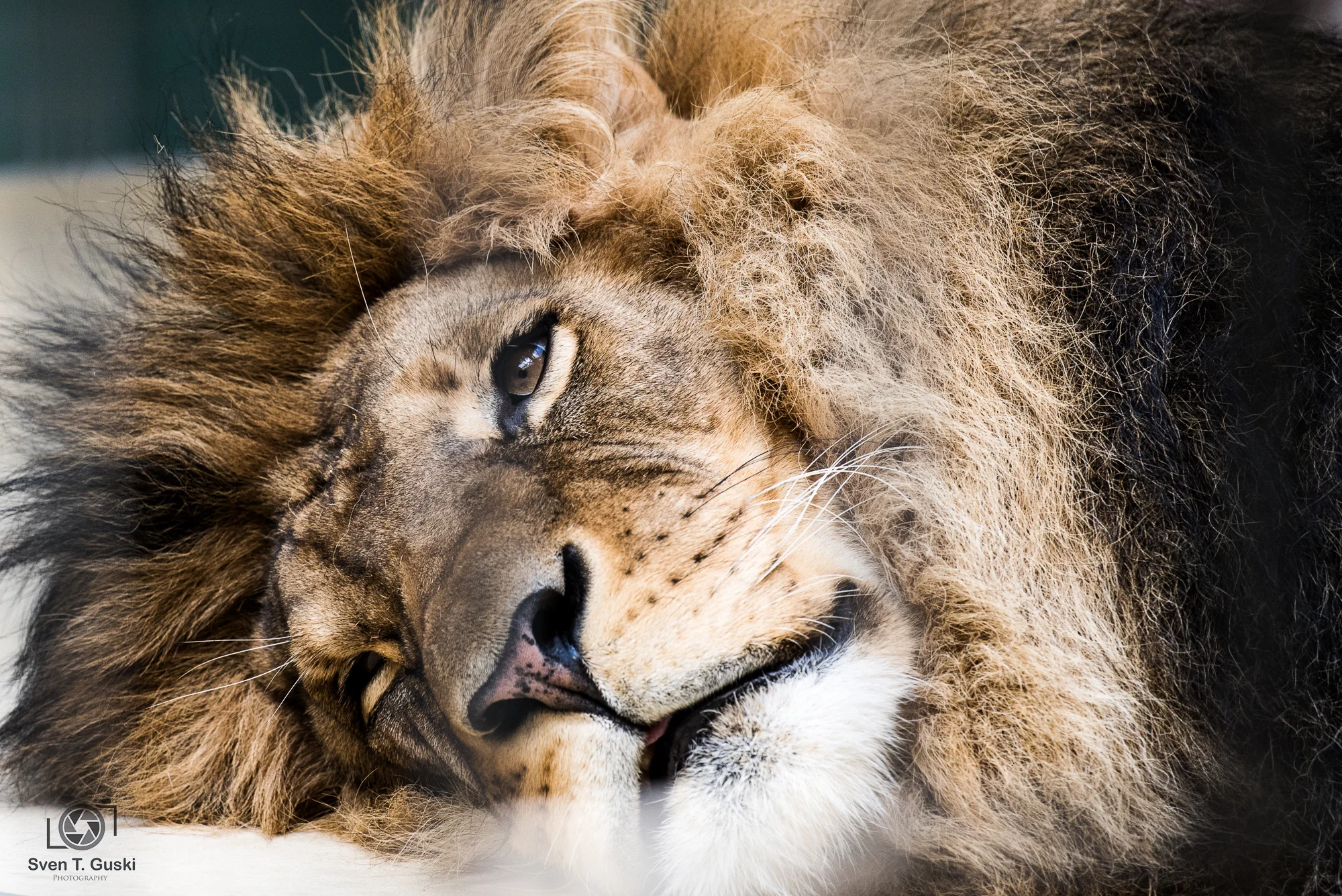 Zoo-3.jpg