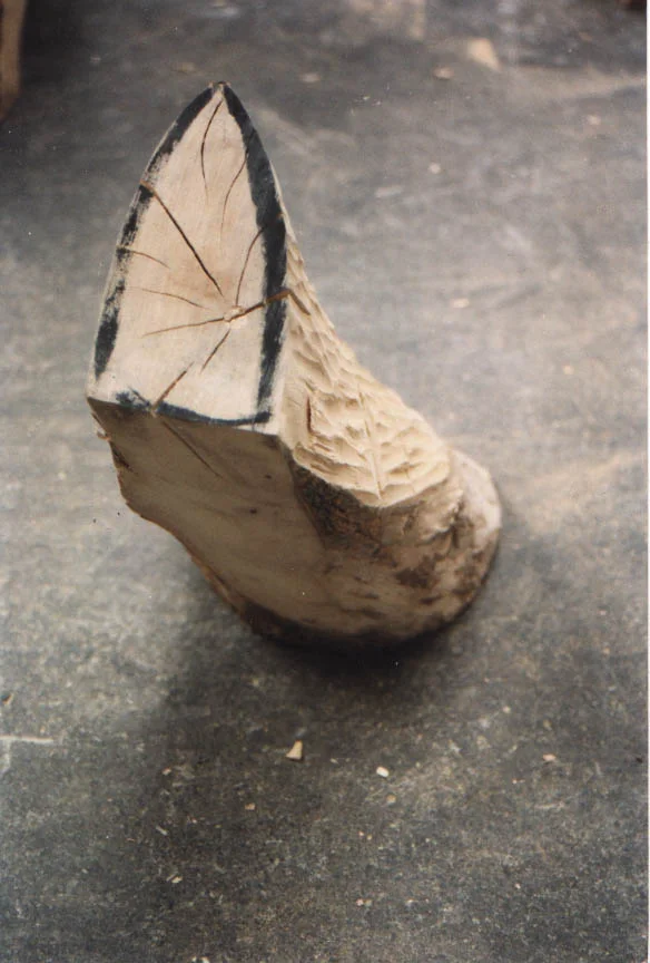 1994 onpoort.jpg
